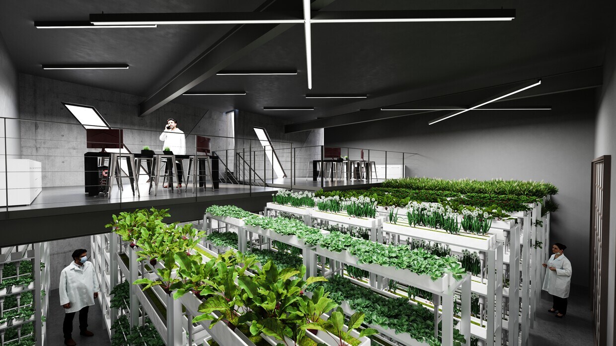 The Creative Atelier